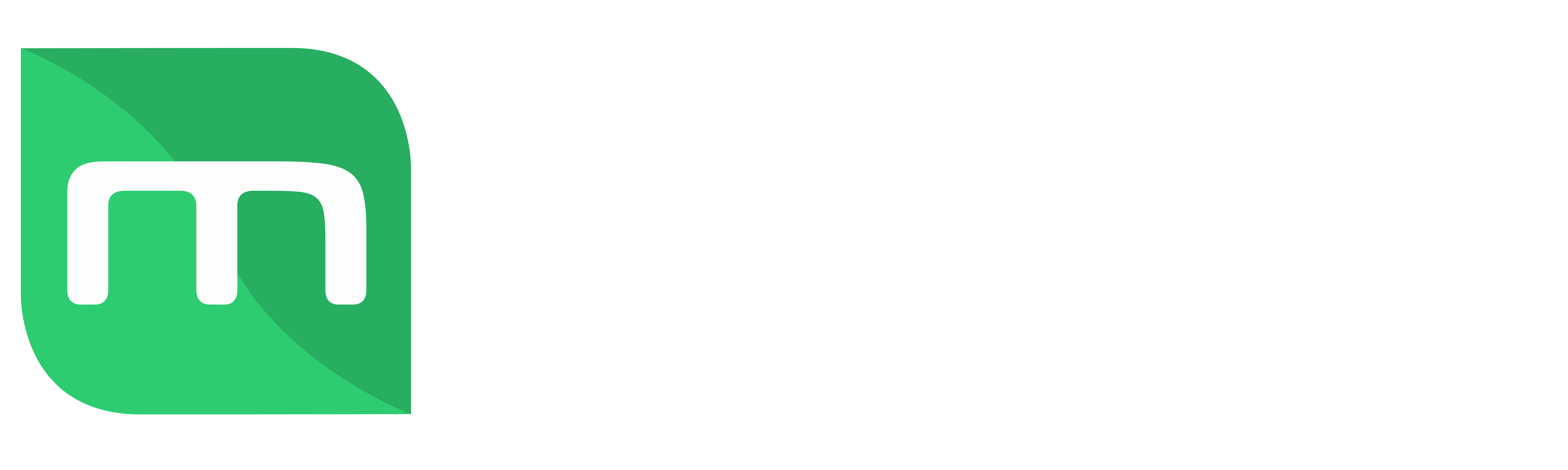 Menthe Entretien